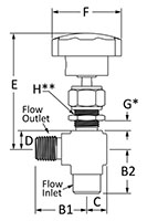 100 Needle Valve Angle Male to Female NPT Line