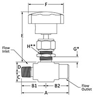 100 Needle Valve Male to Female NPT Line