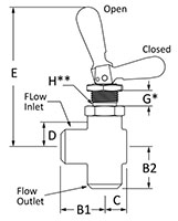 200 Toggle Valve Angle Female NPT Line