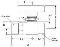 300 Two Way Valve Female NPT Line