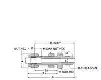 AN Bulkhead Union - Duolok