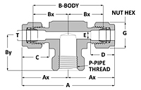 Female Branch Tee - Duolok