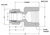 Female Connector - Duolok