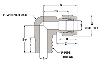 Male Elbow - Duolok