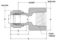 Tube fitting female connector