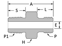 BSPP Male Connector