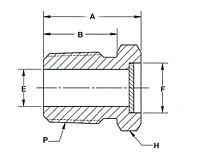 Mud Dauber Fitting