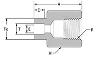 Socket Weld Female Connector