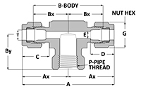 Tube fitting female branch tee