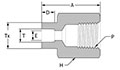 Socket Weld Female Connector